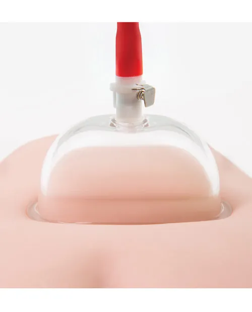 Male Sex Toys Blush Novelties Blush Temptasia Intense Pussy Pump System