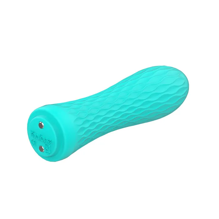 Nalone Nalone IAN Mini and Powerful Rechargeable 20 Function Bullet Vibrator Turquoise Blue Vibrators